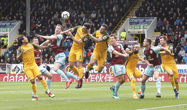 纪人带来了 纪人带来了