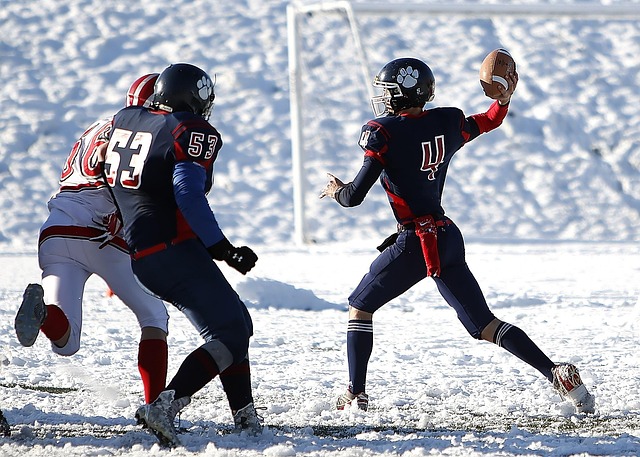 在这个转会 在这个转会